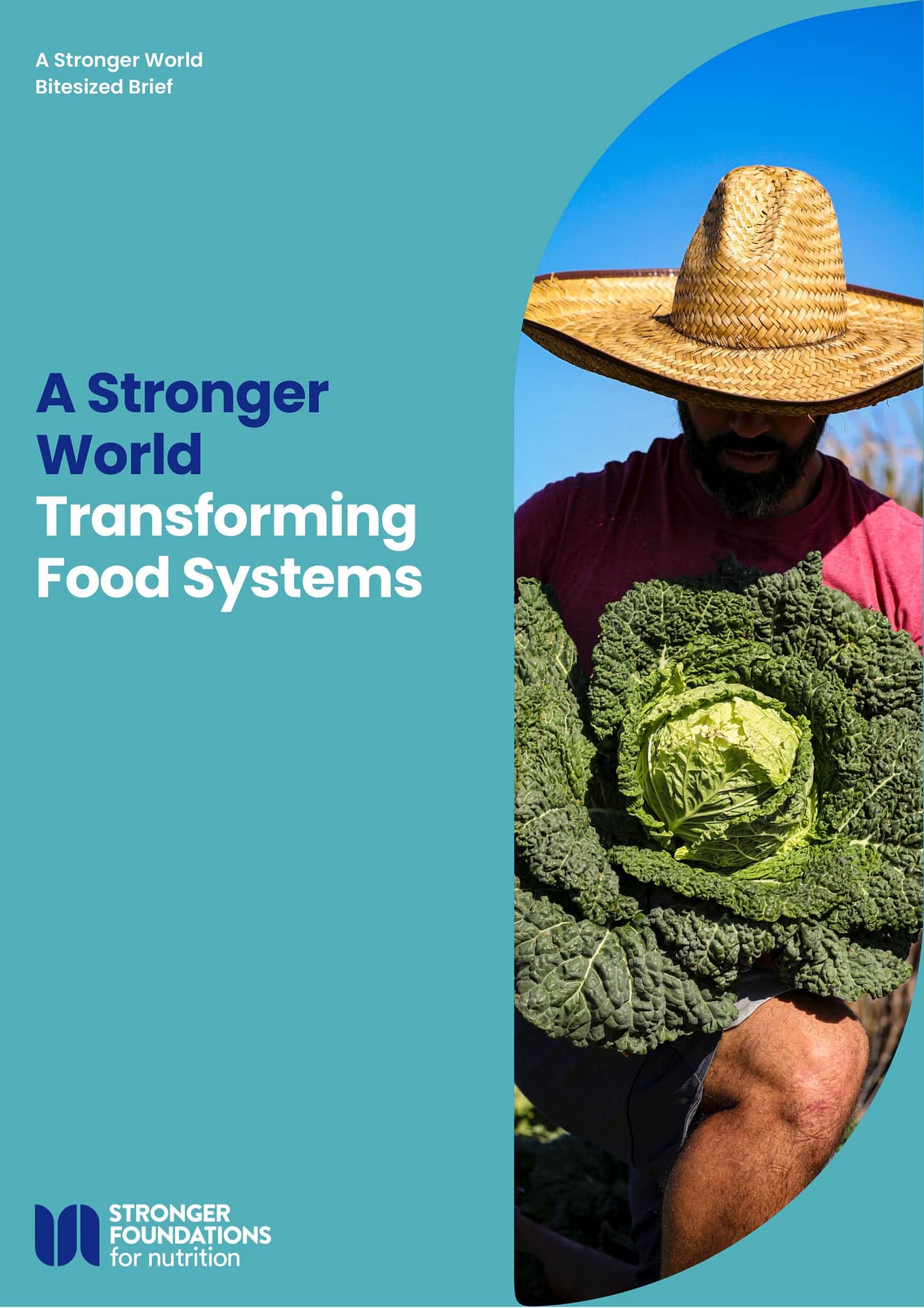 Transforming Food Systems Stronger Foundations