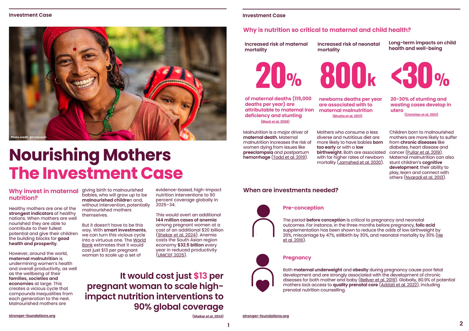 Nourishing Mothers: The Investment Case
