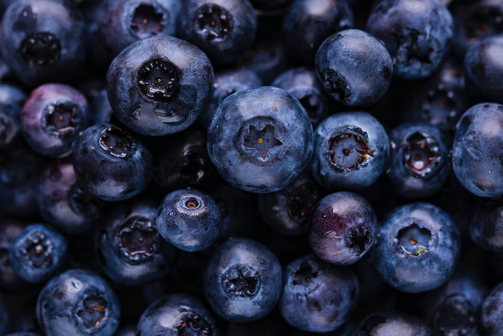 Close up shot of blueberries